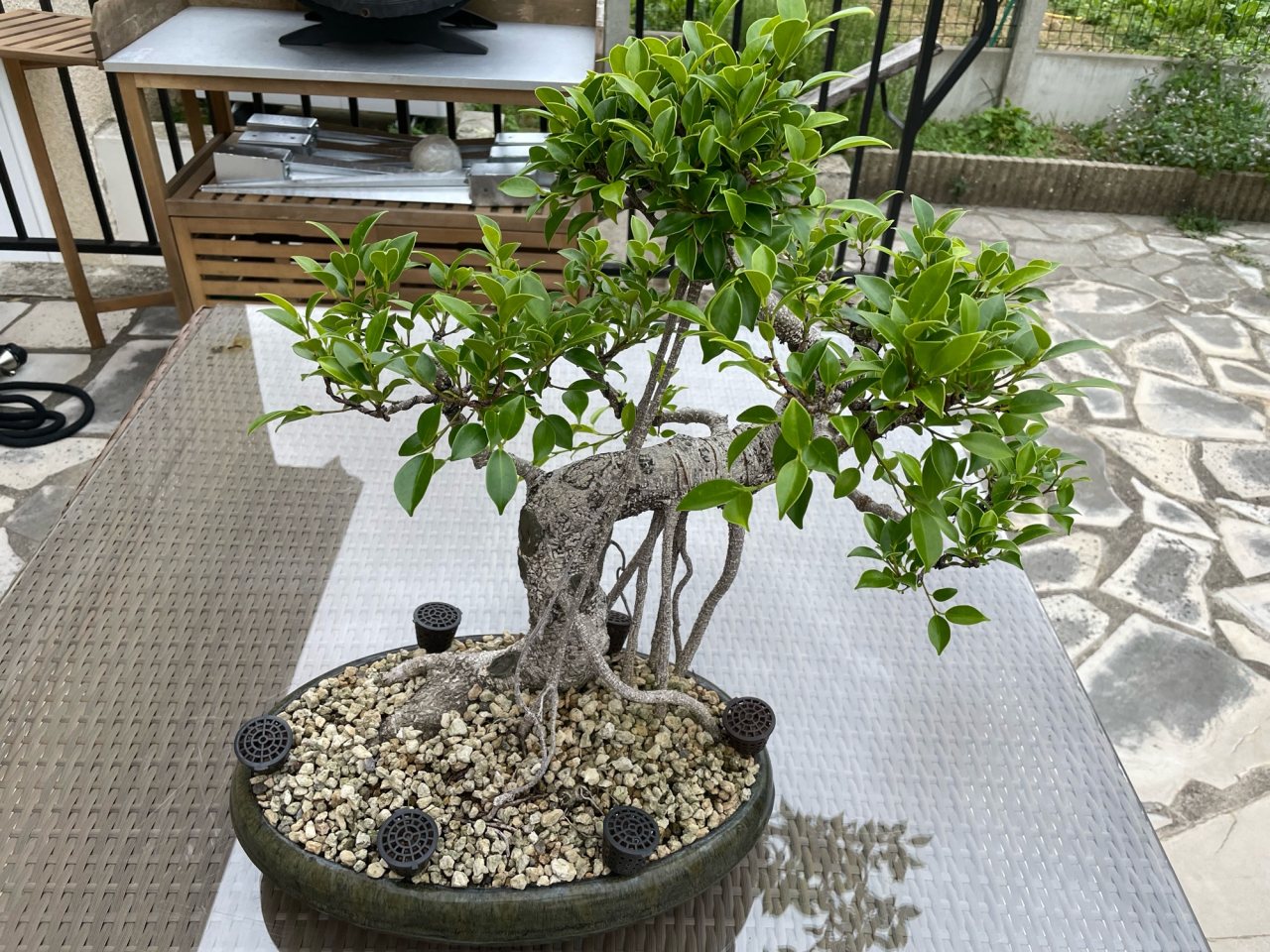 Photo 5