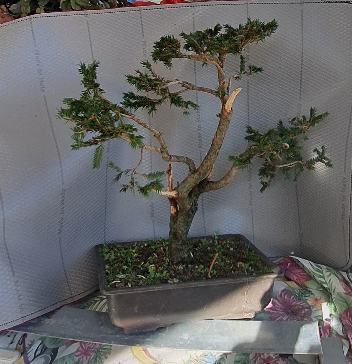 Photo 4