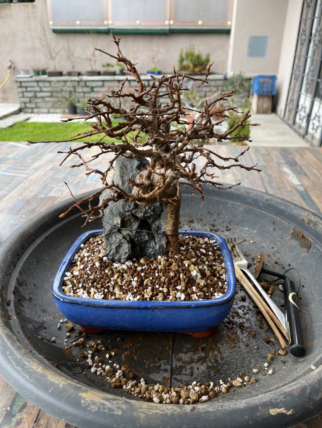 Photo 3