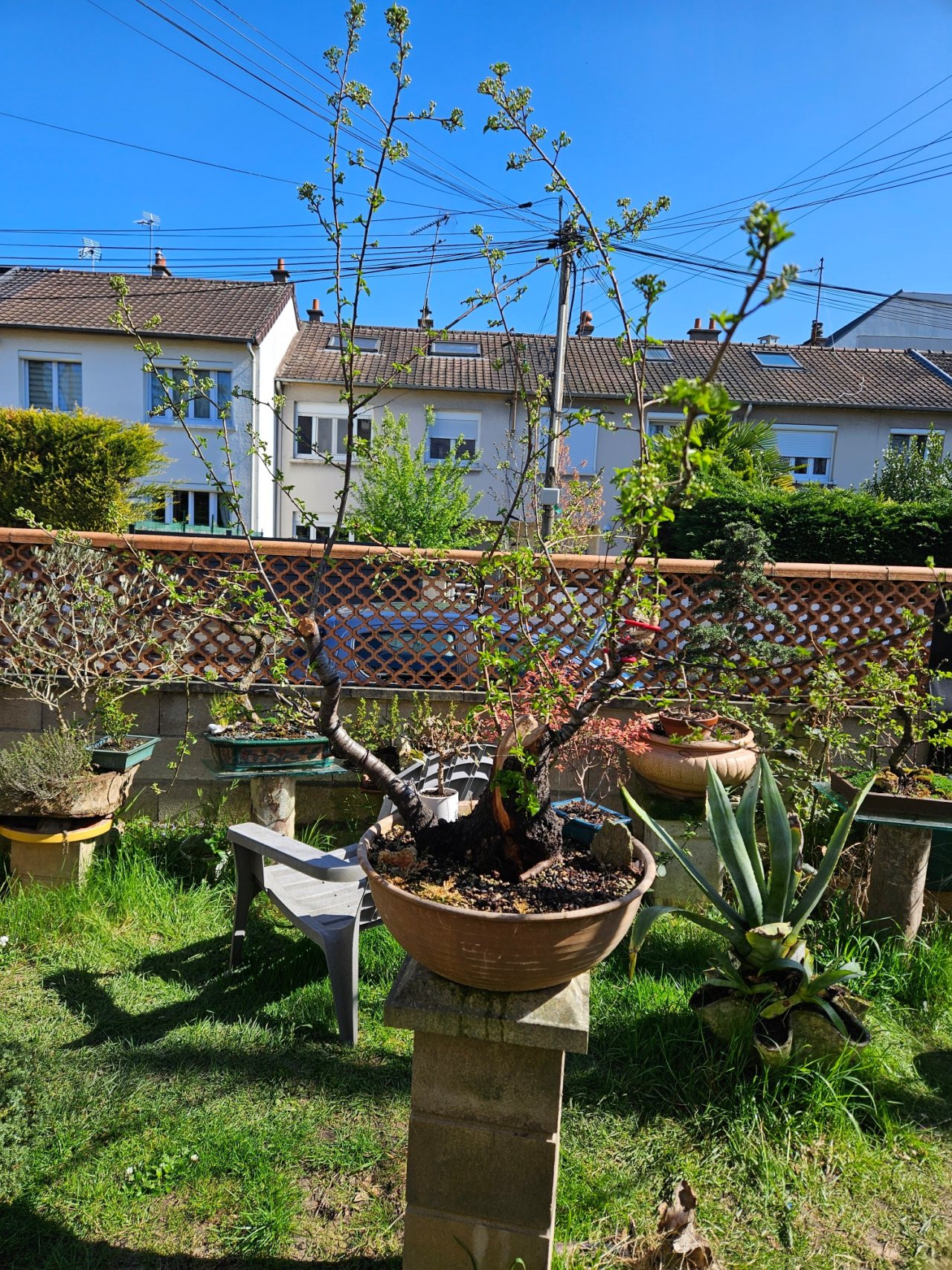 Photo 13