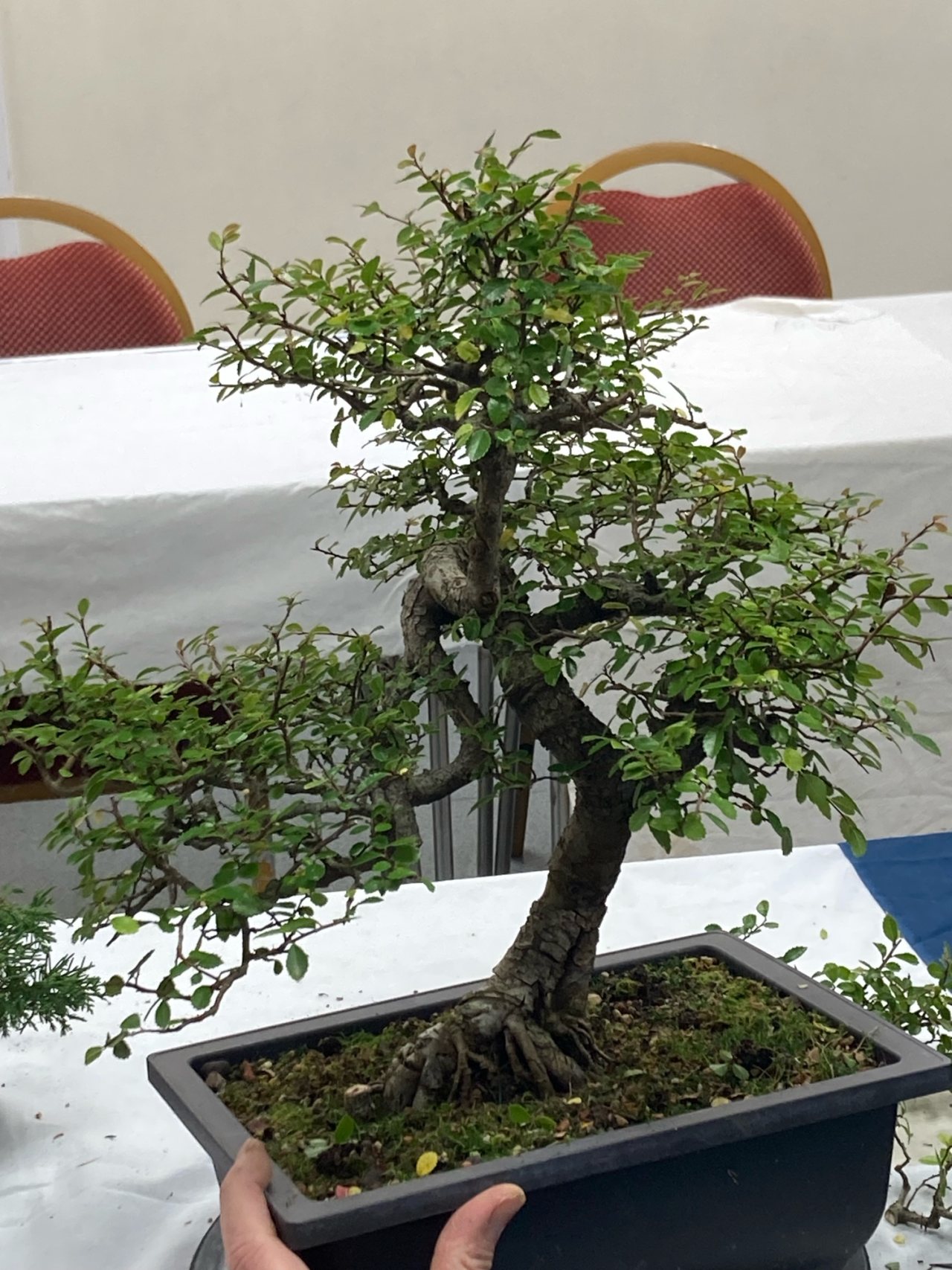 Photo 6
