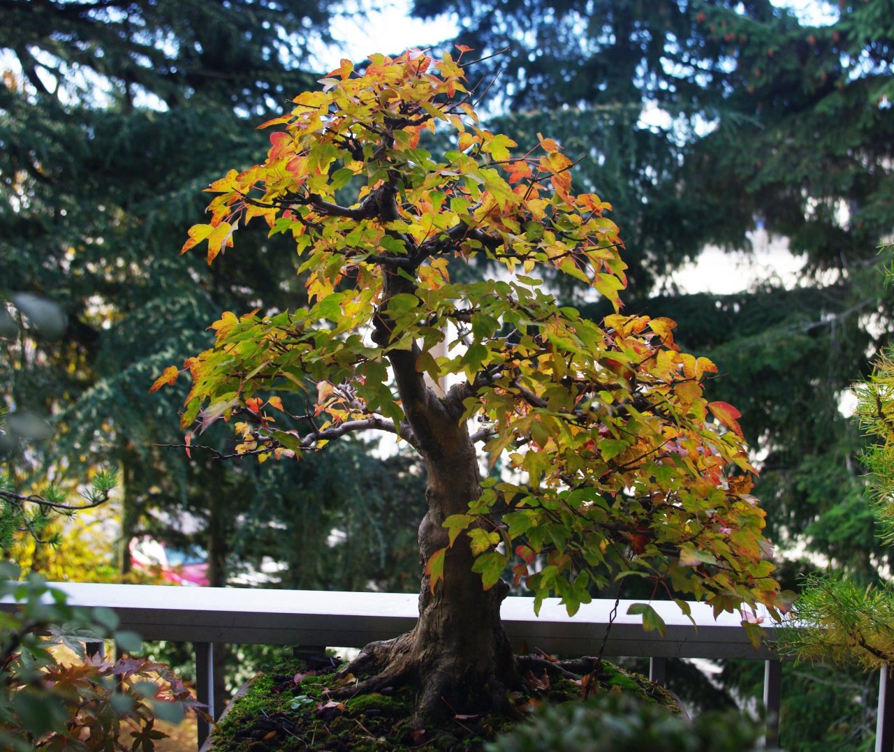 Photo 6