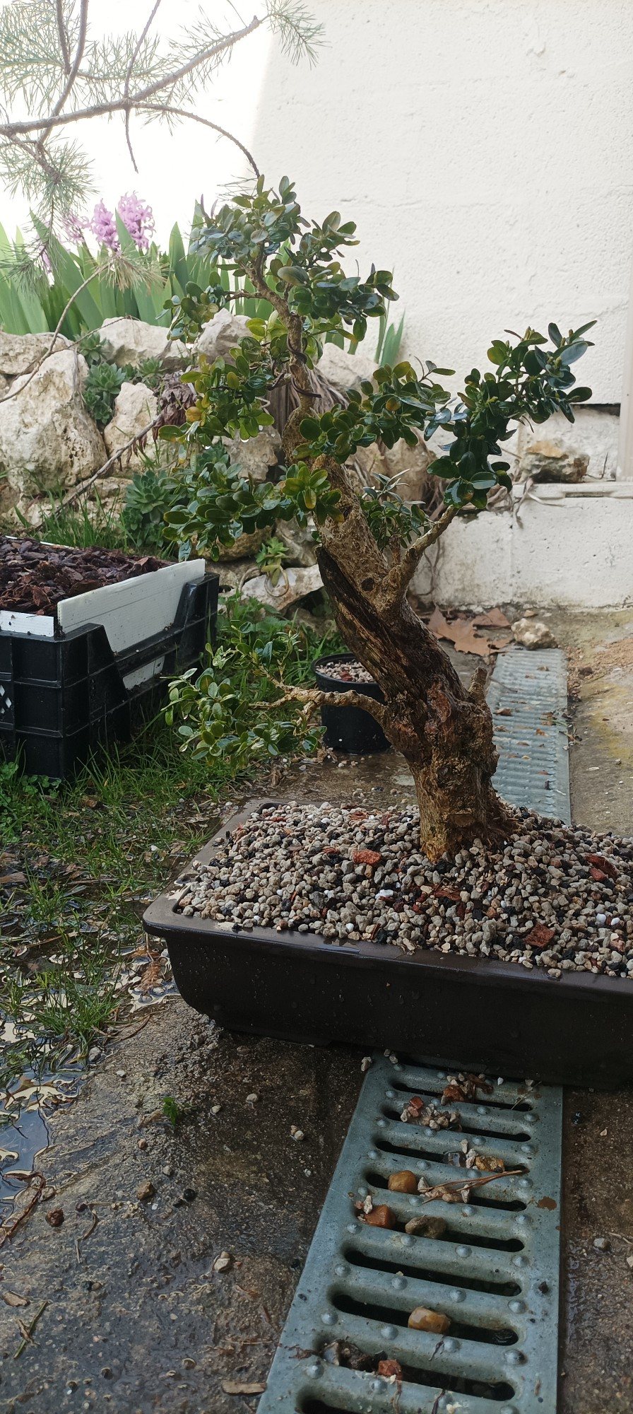 Photo 11