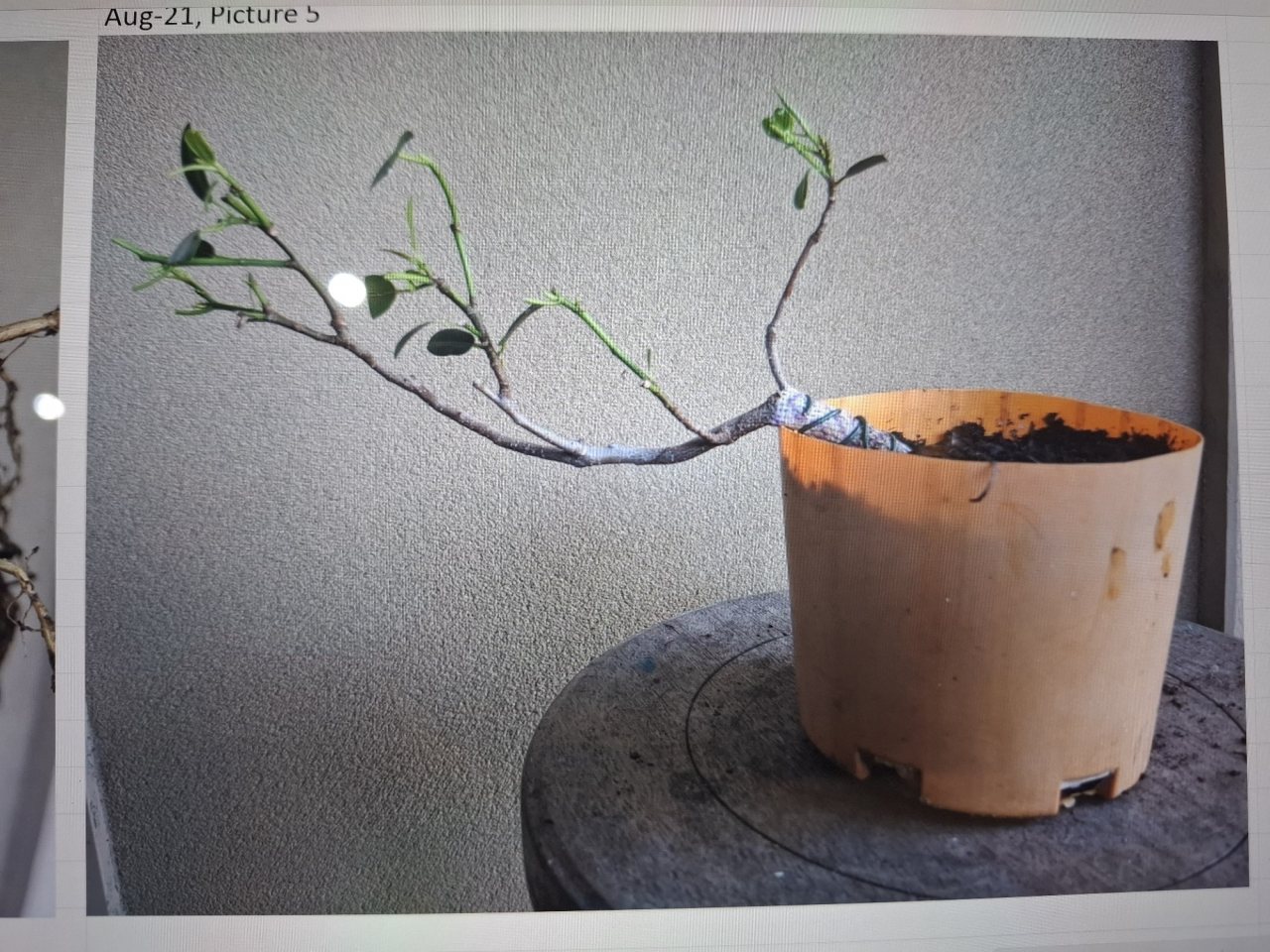 Photo 8