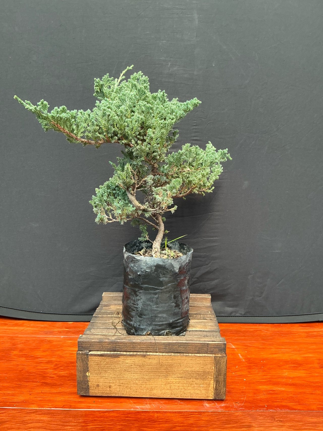 Photo 4