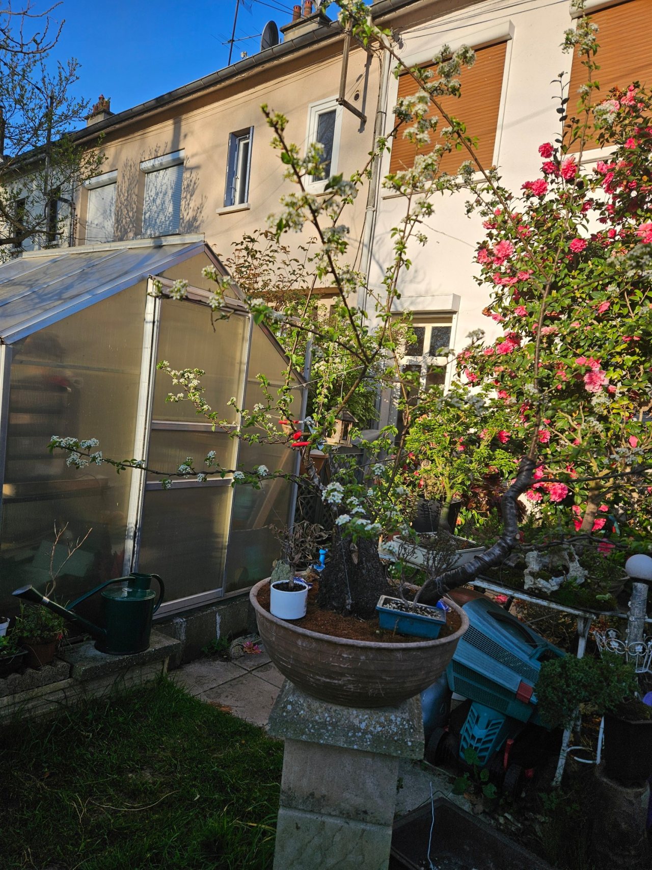 Photo 12