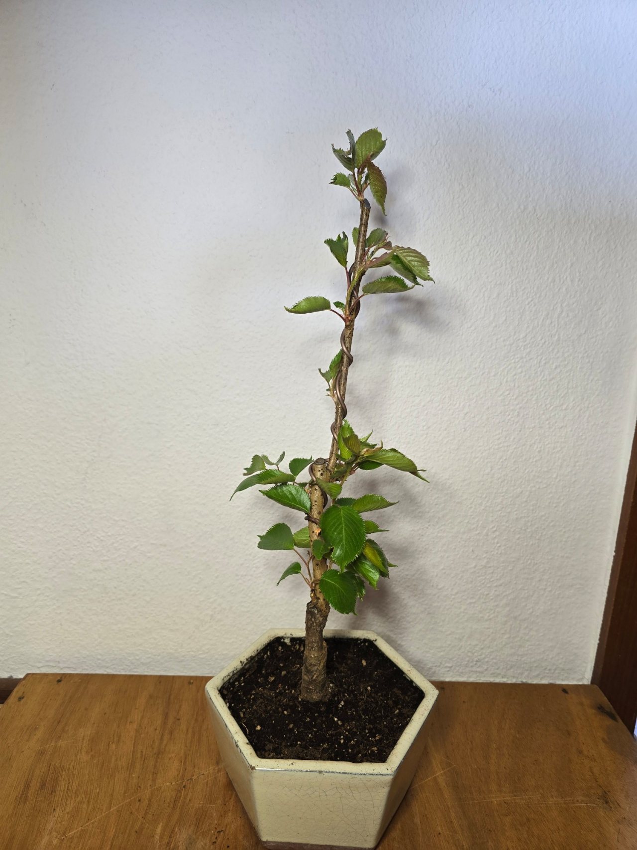 Photo 6