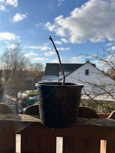 ??? Helios Klinik