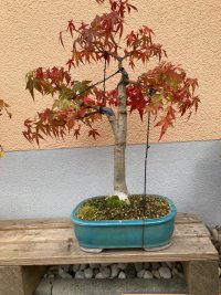 Andere - 26.10.22 - Photo 1/1