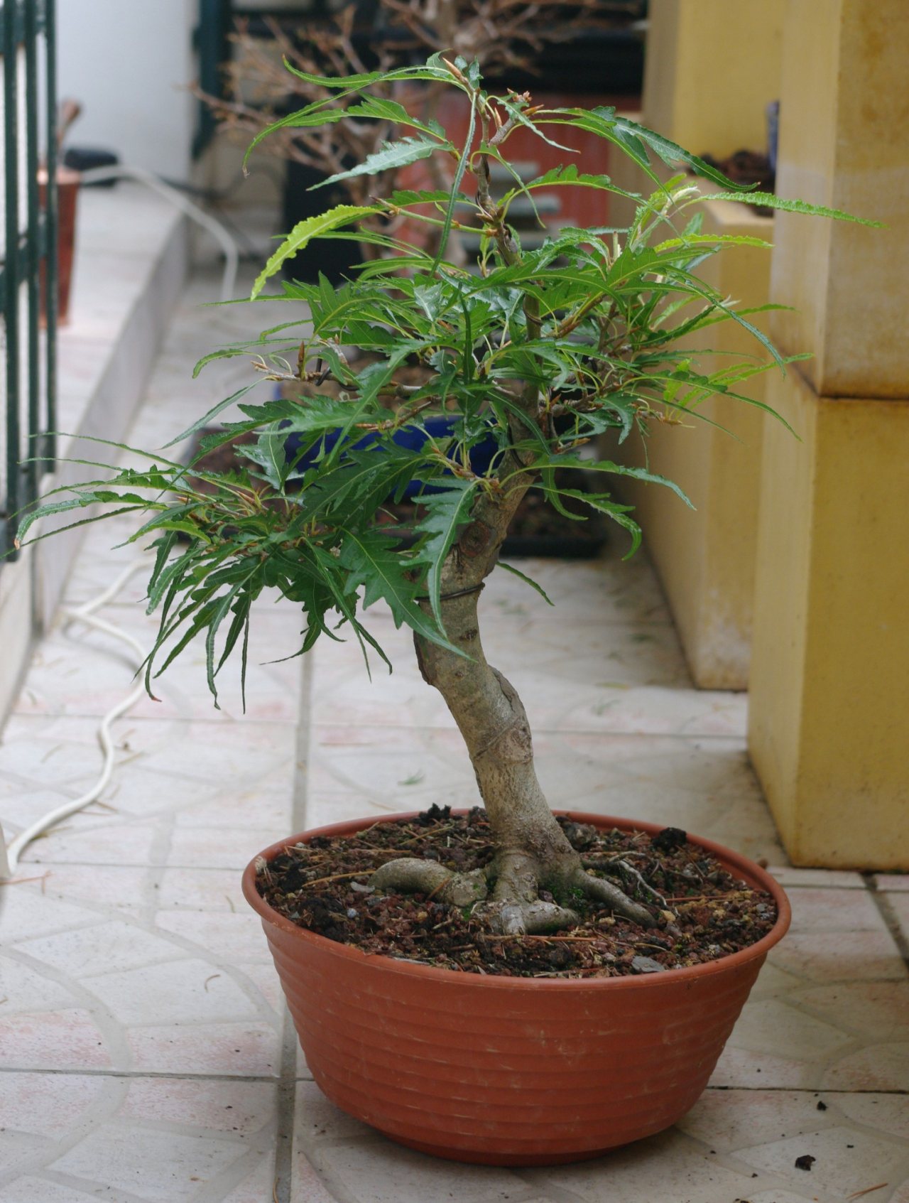 Photo 9