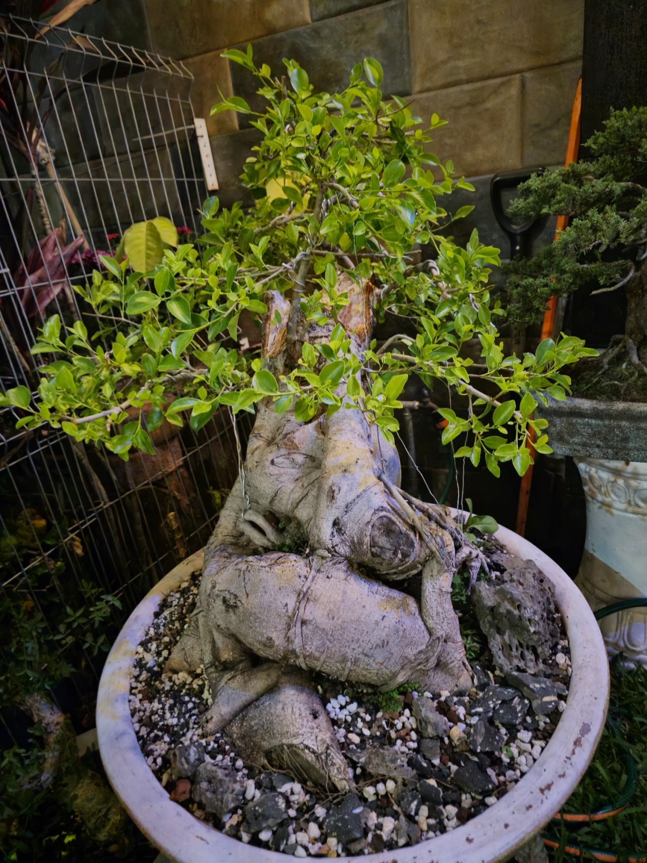 Photo 10