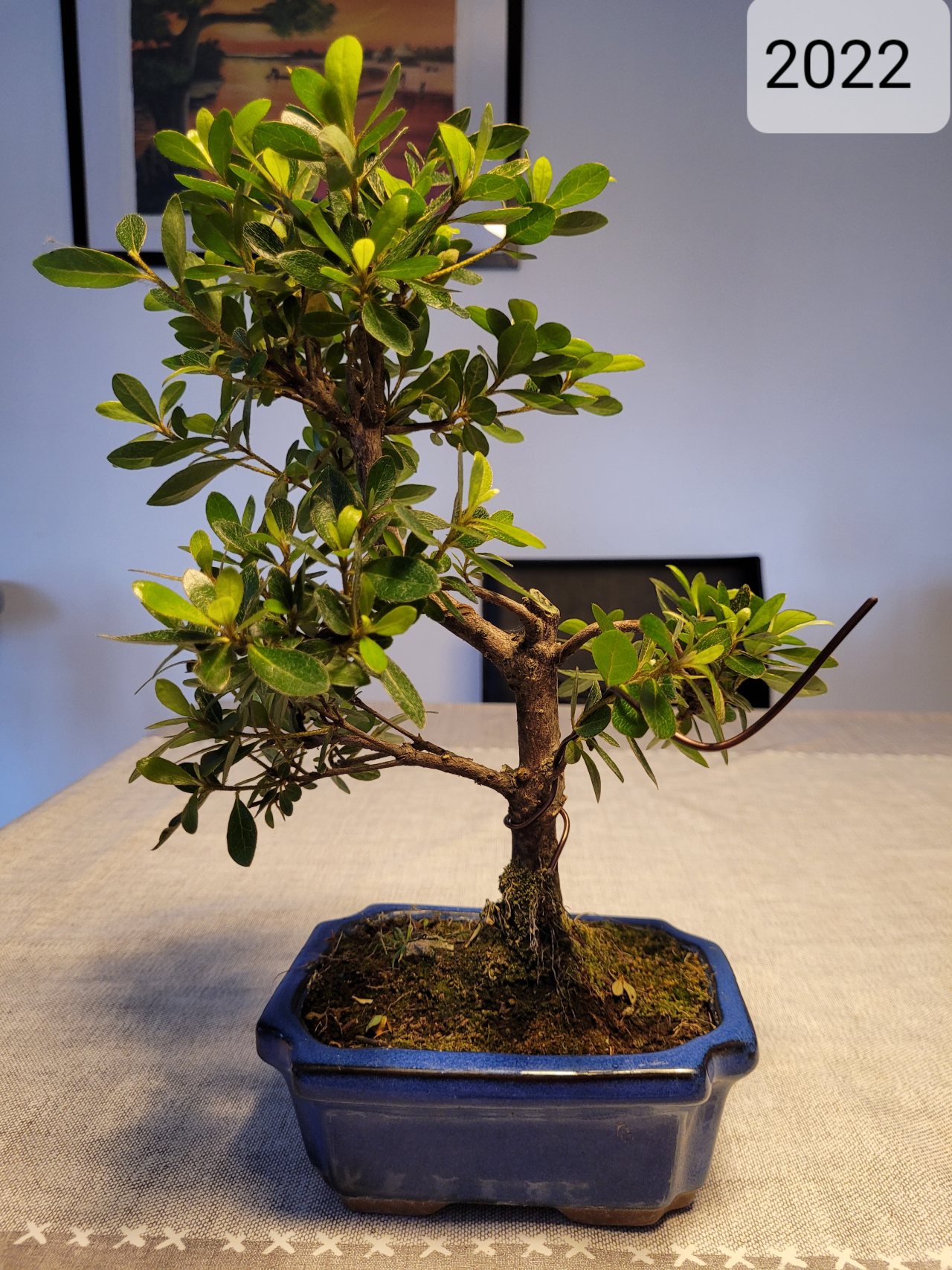 Photo 14