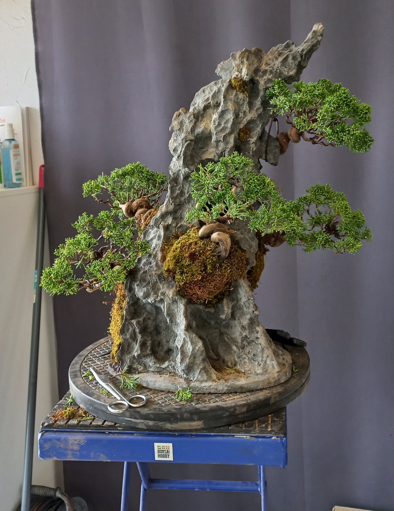 Photo 11