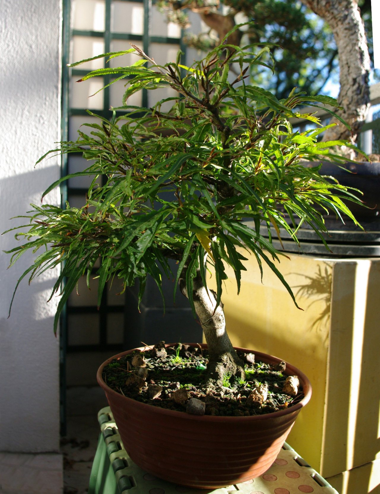 Photo 12