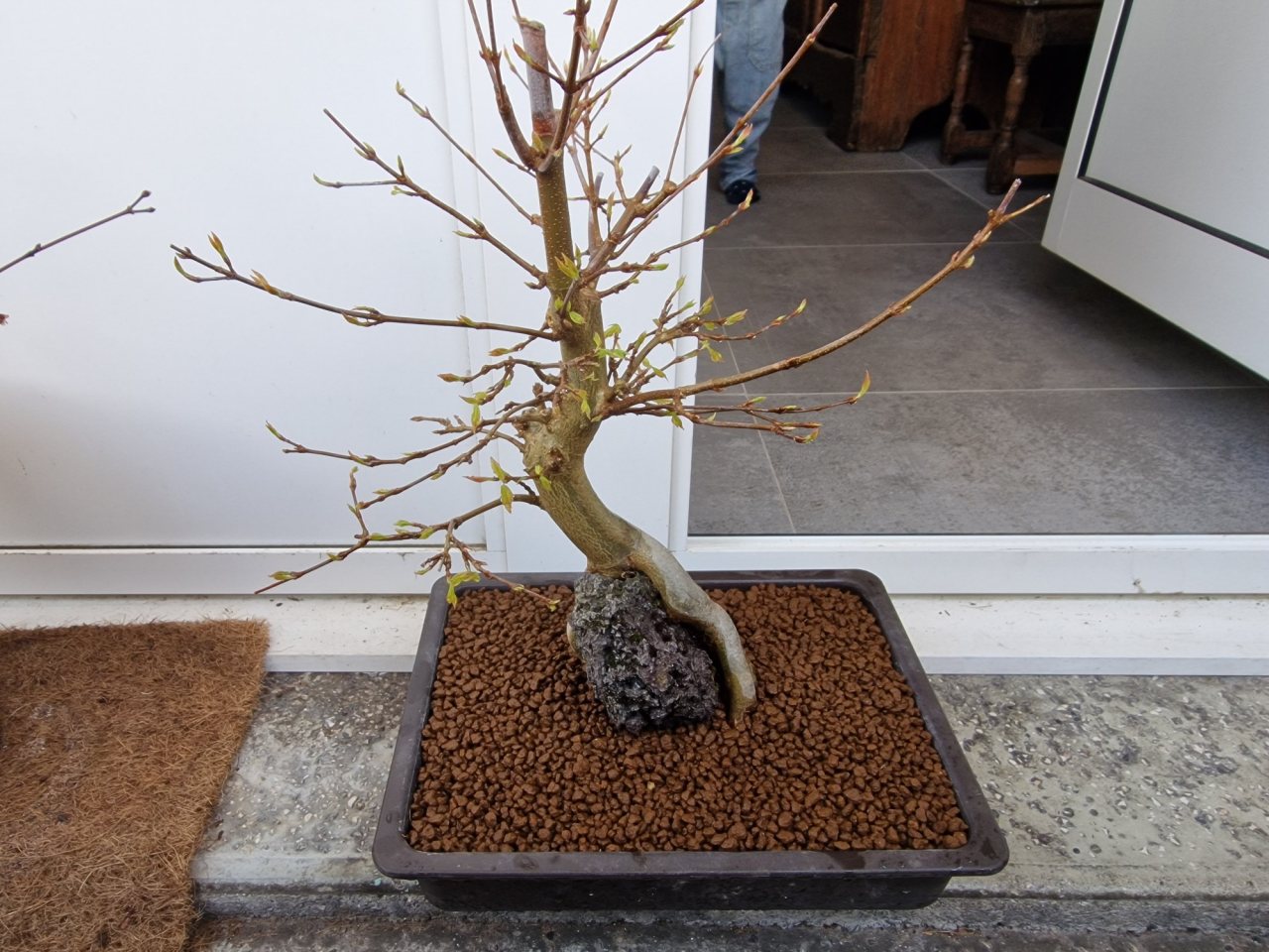 Photo 26