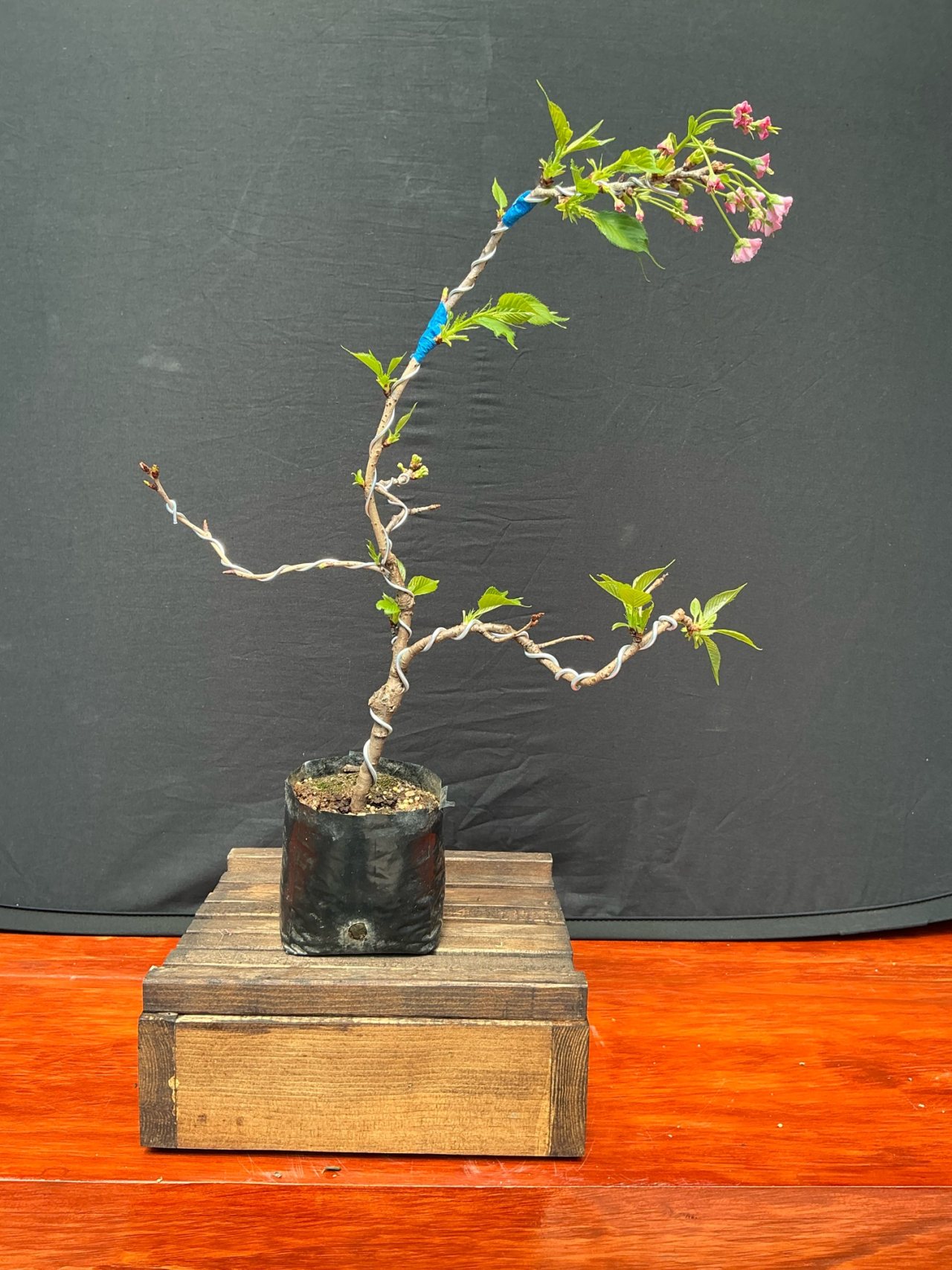Photo 3
