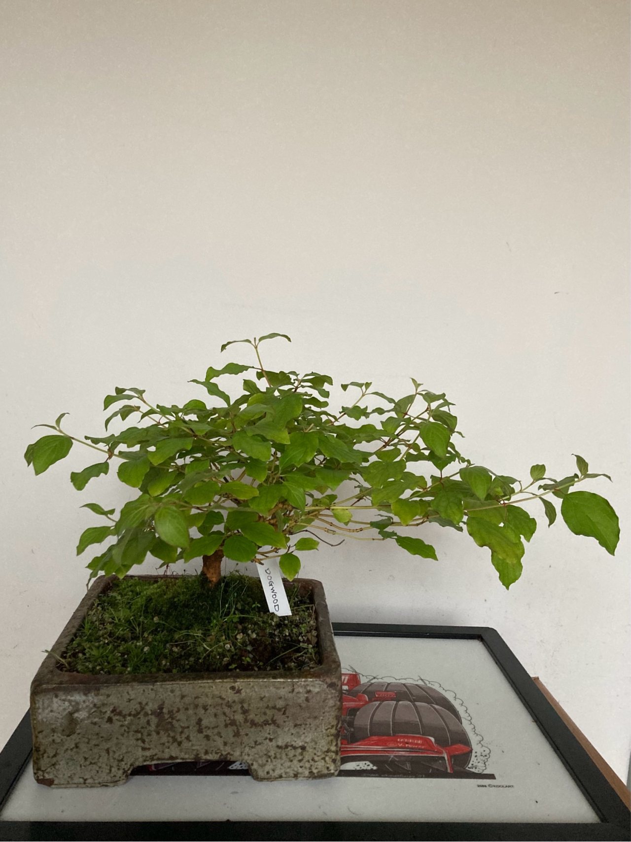 Photo 2