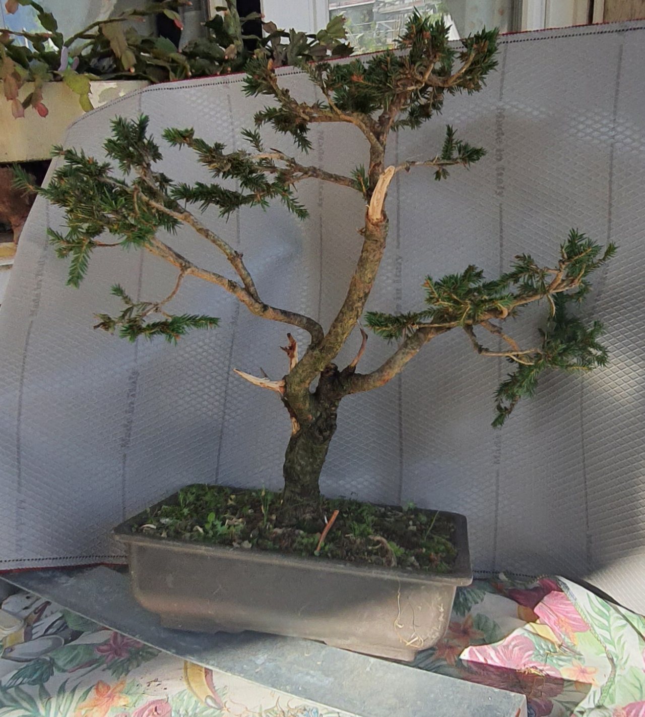 Photo 8