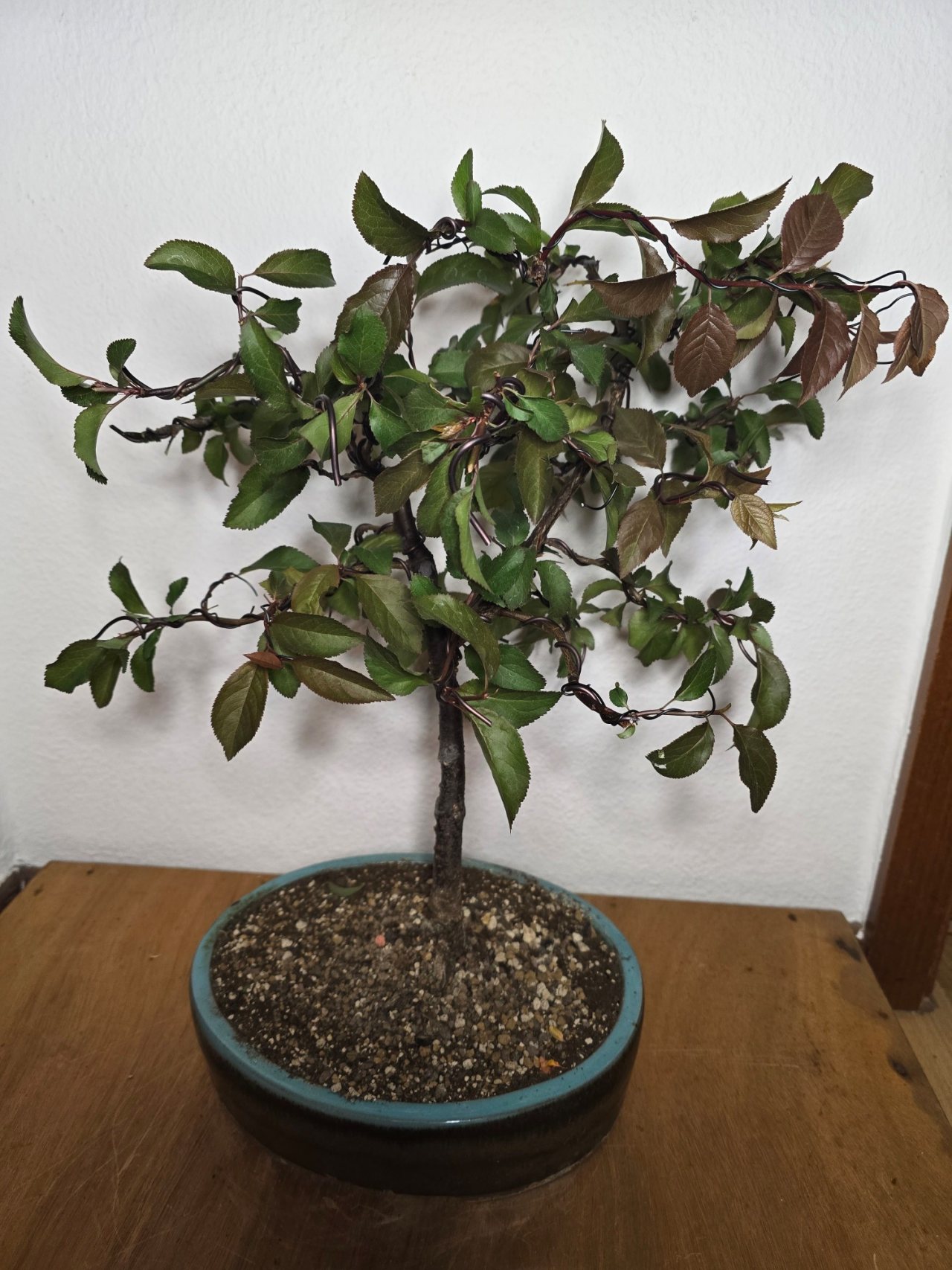Photo 6