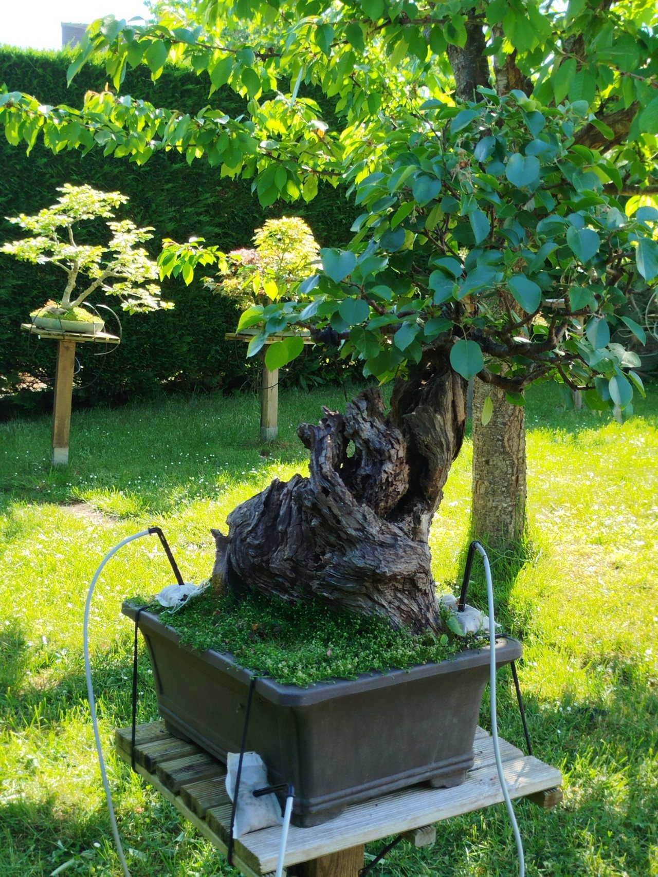 Photo 5