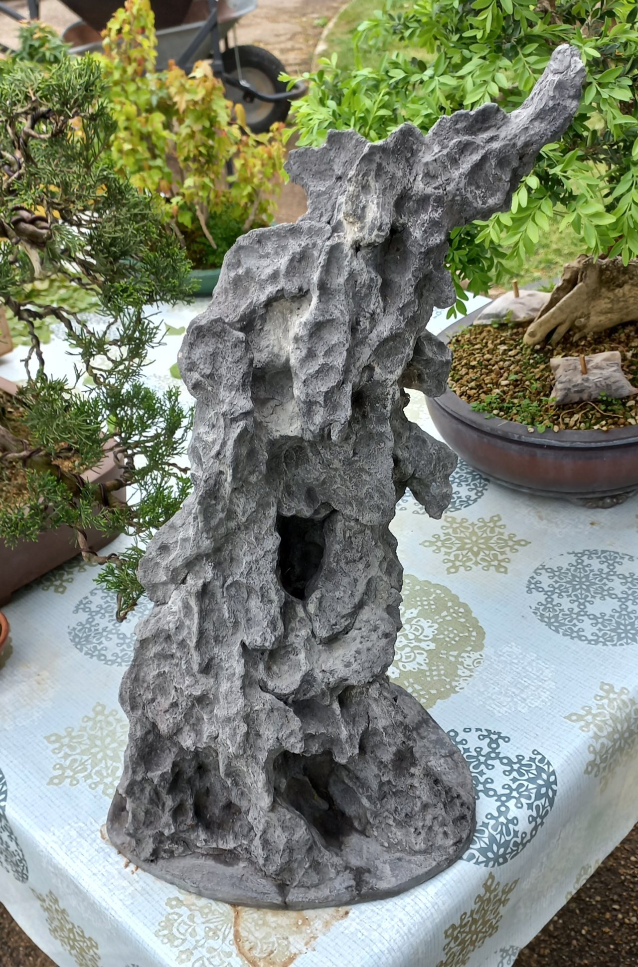 Photo 13