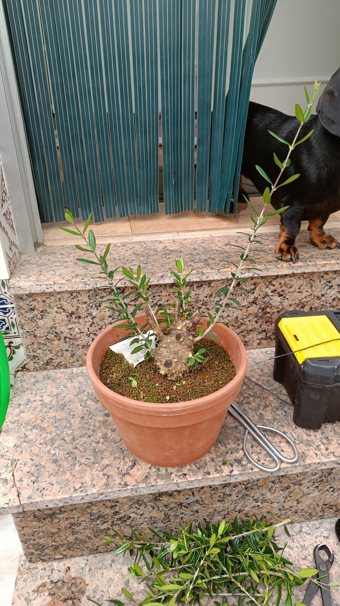 Photo 20