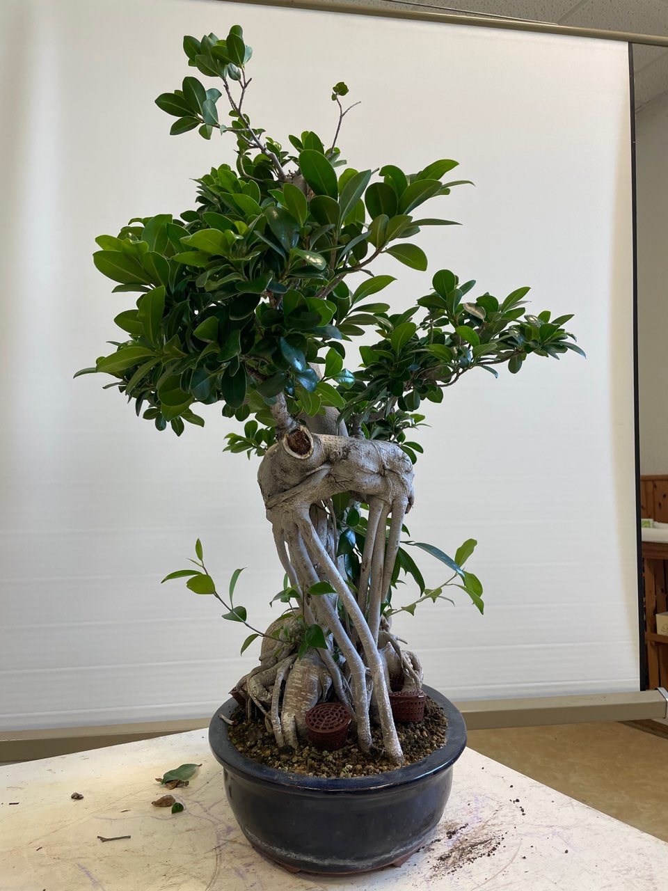 Photo 6