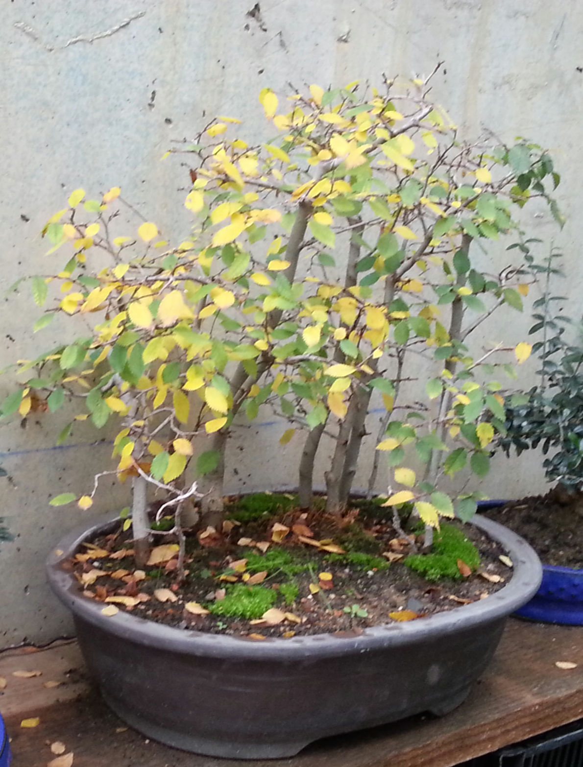 Photo 4