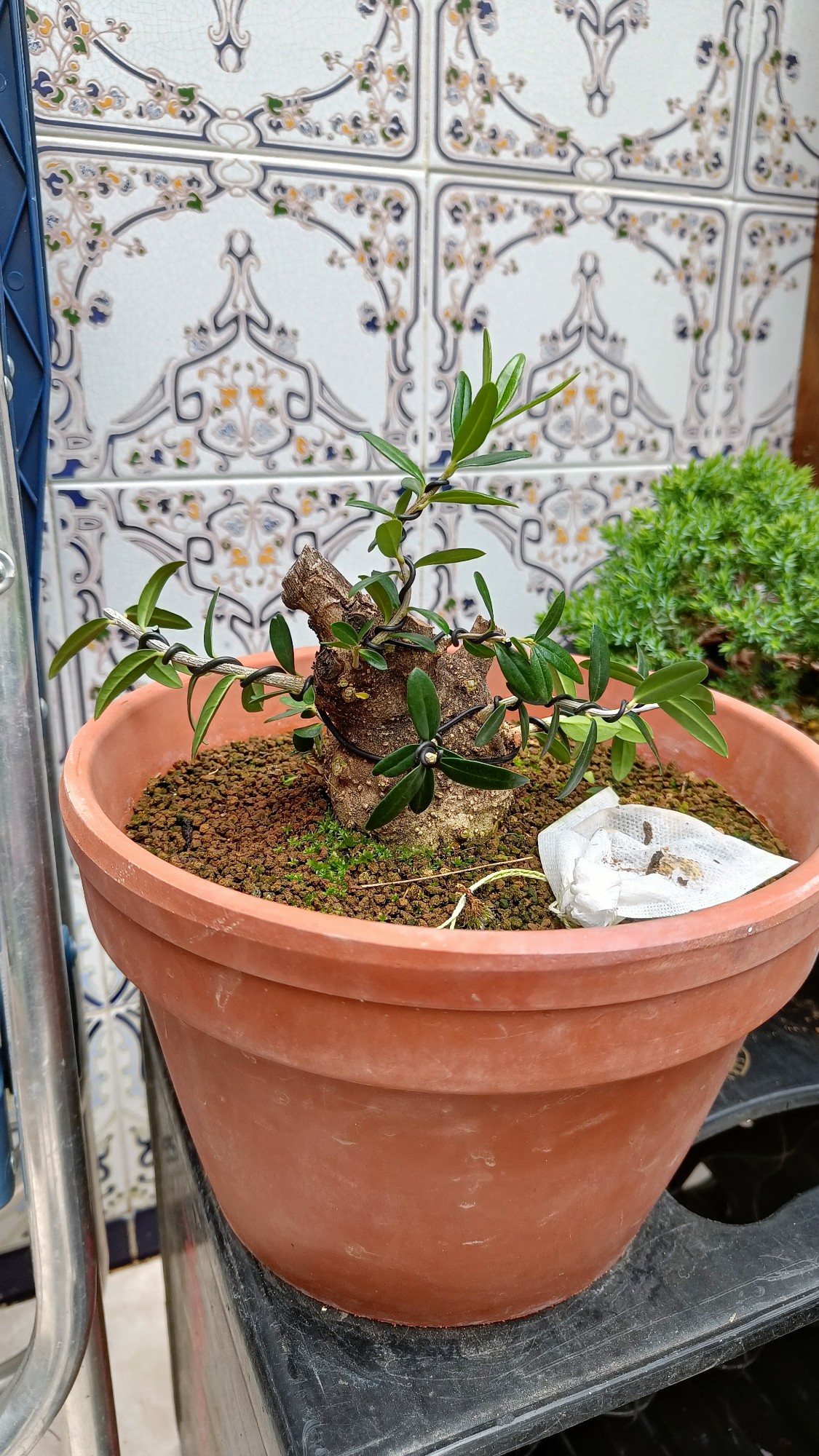 Photo 19
