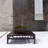 Ausstellung - 21.10.17 - Photo 1/2