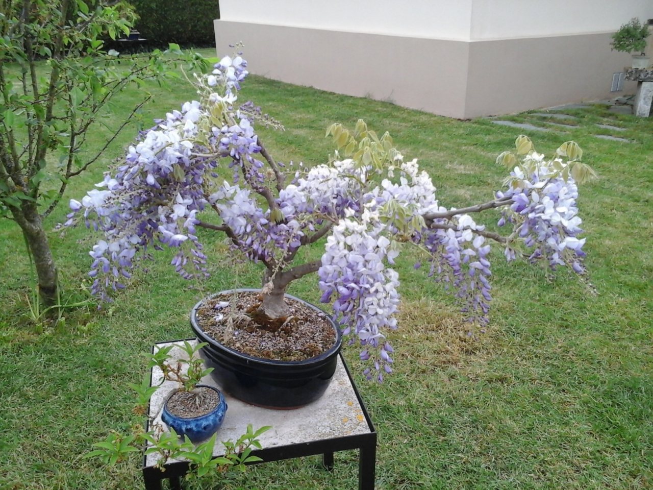 Photo 4