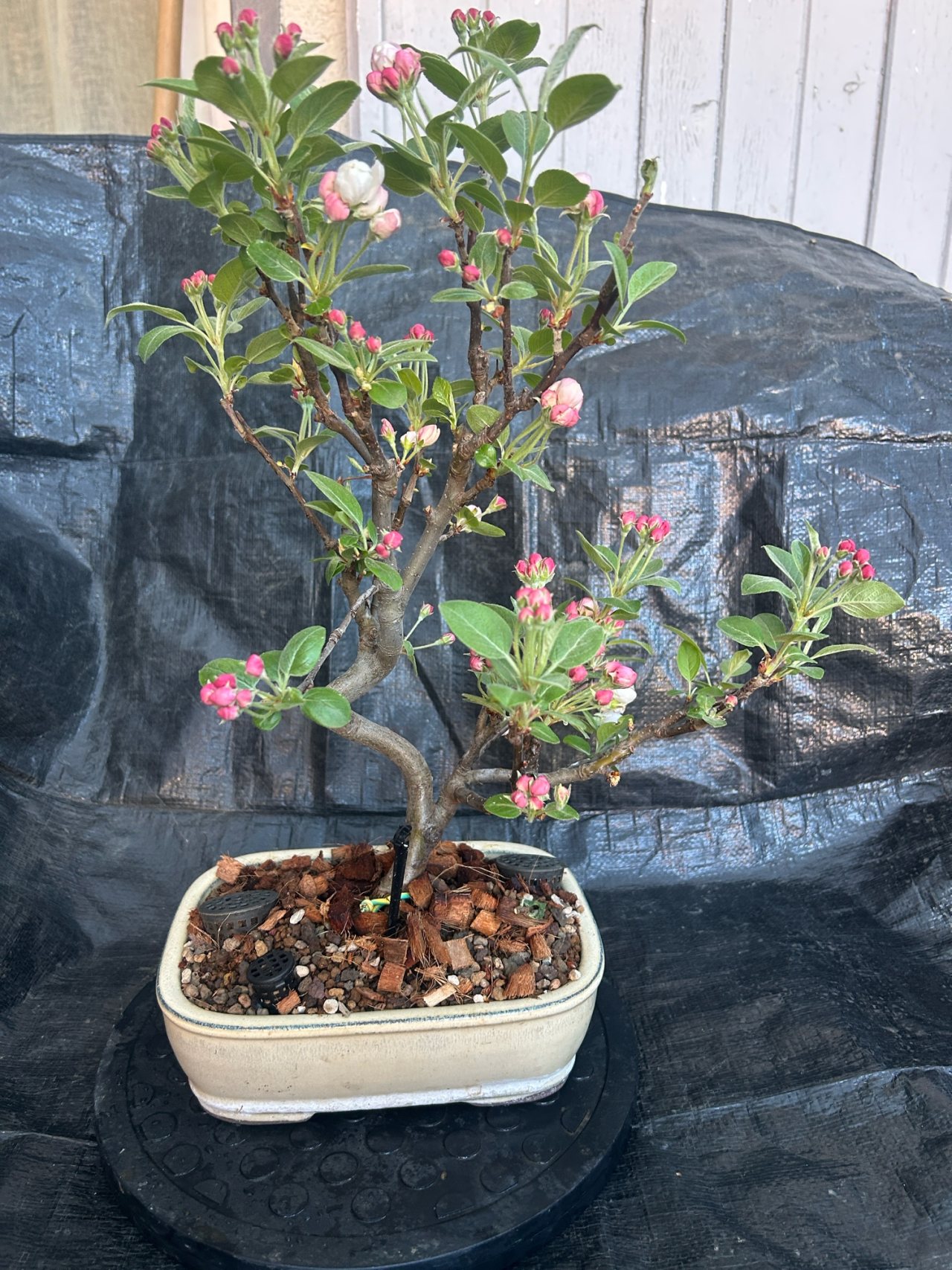 Photo 20