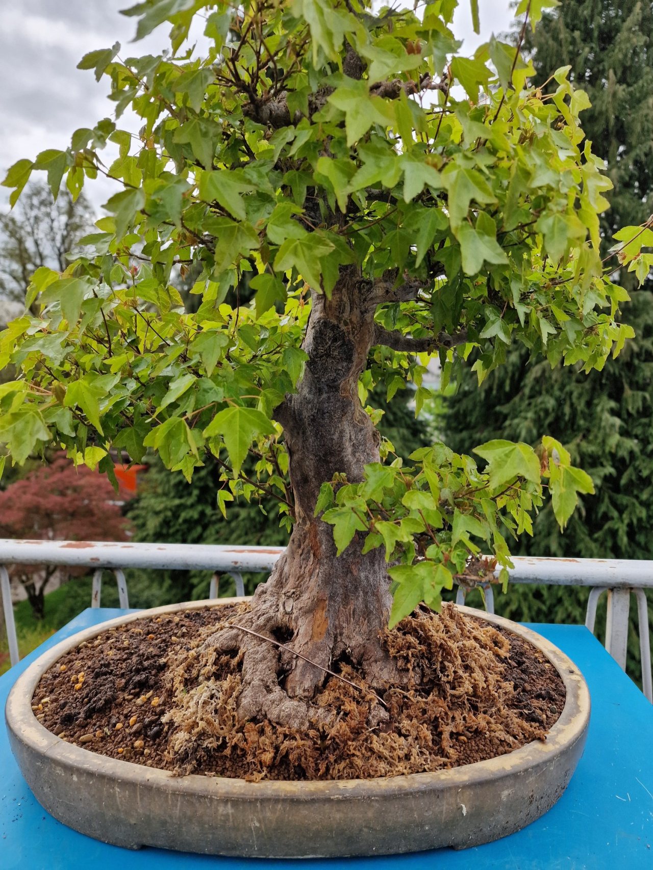 Photo 18