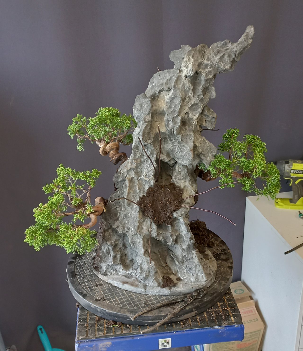Photo 6