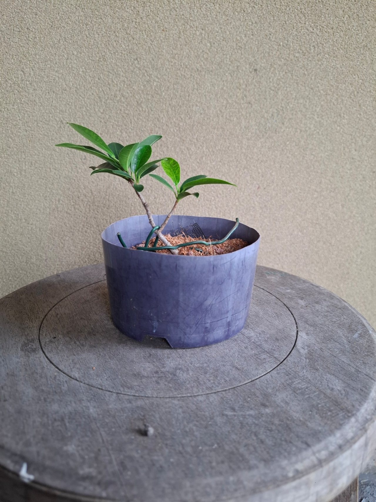 Photo 4