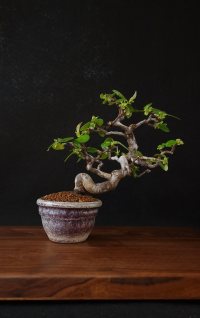 অন্যান্য - ১/৫/২৩ - Photo 1/2