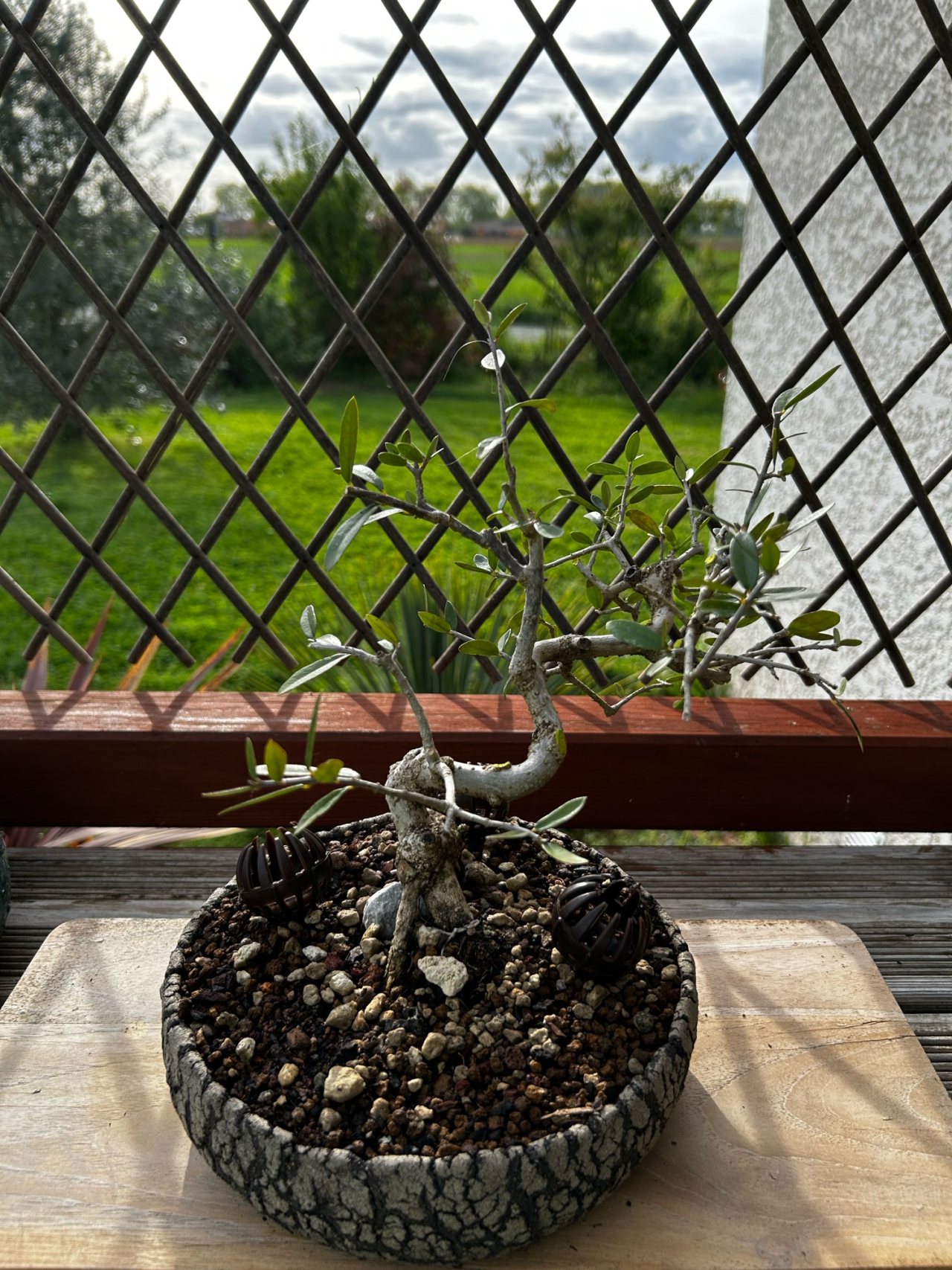 Photo 8