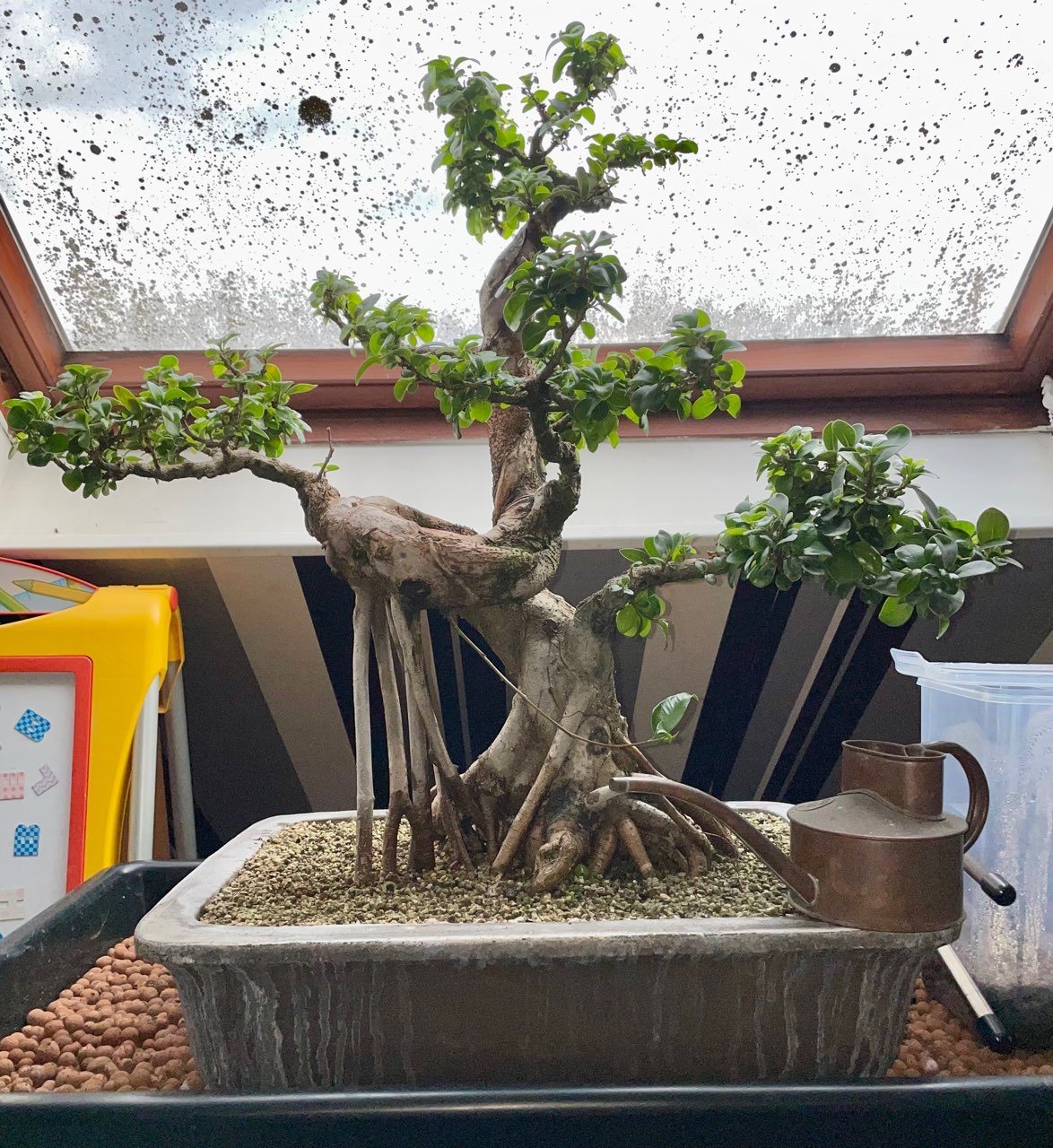 Photo 19