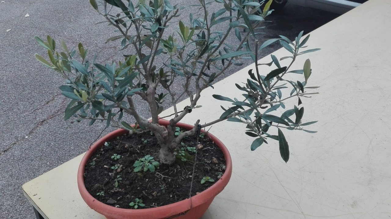 Photo 6