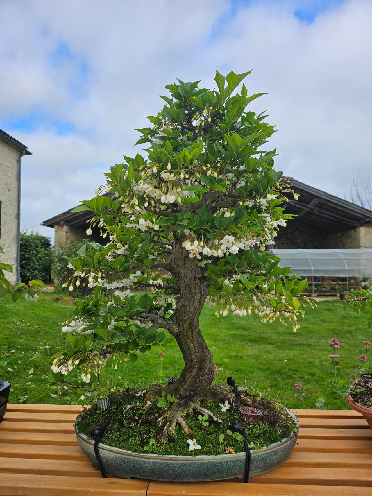Photo 5
