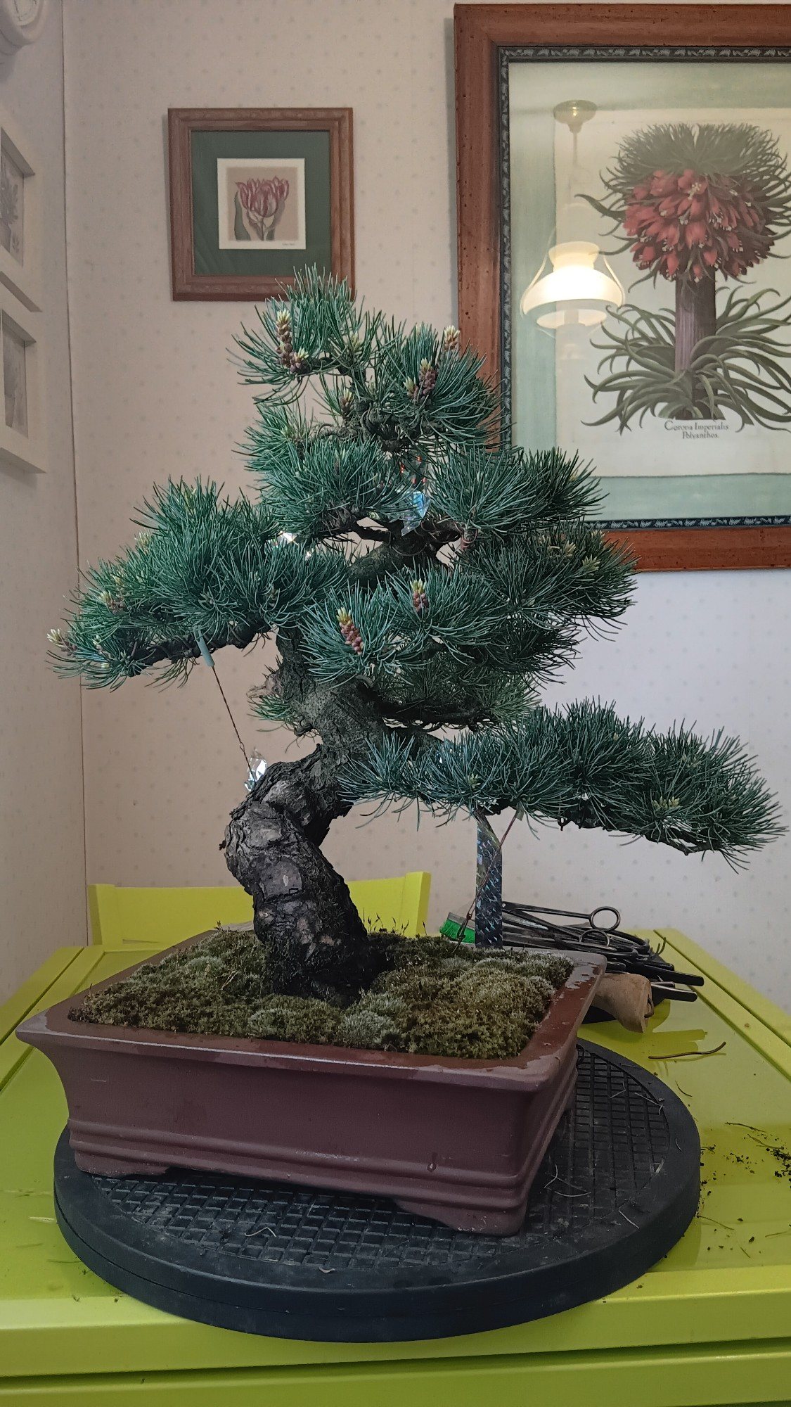 Photo 10