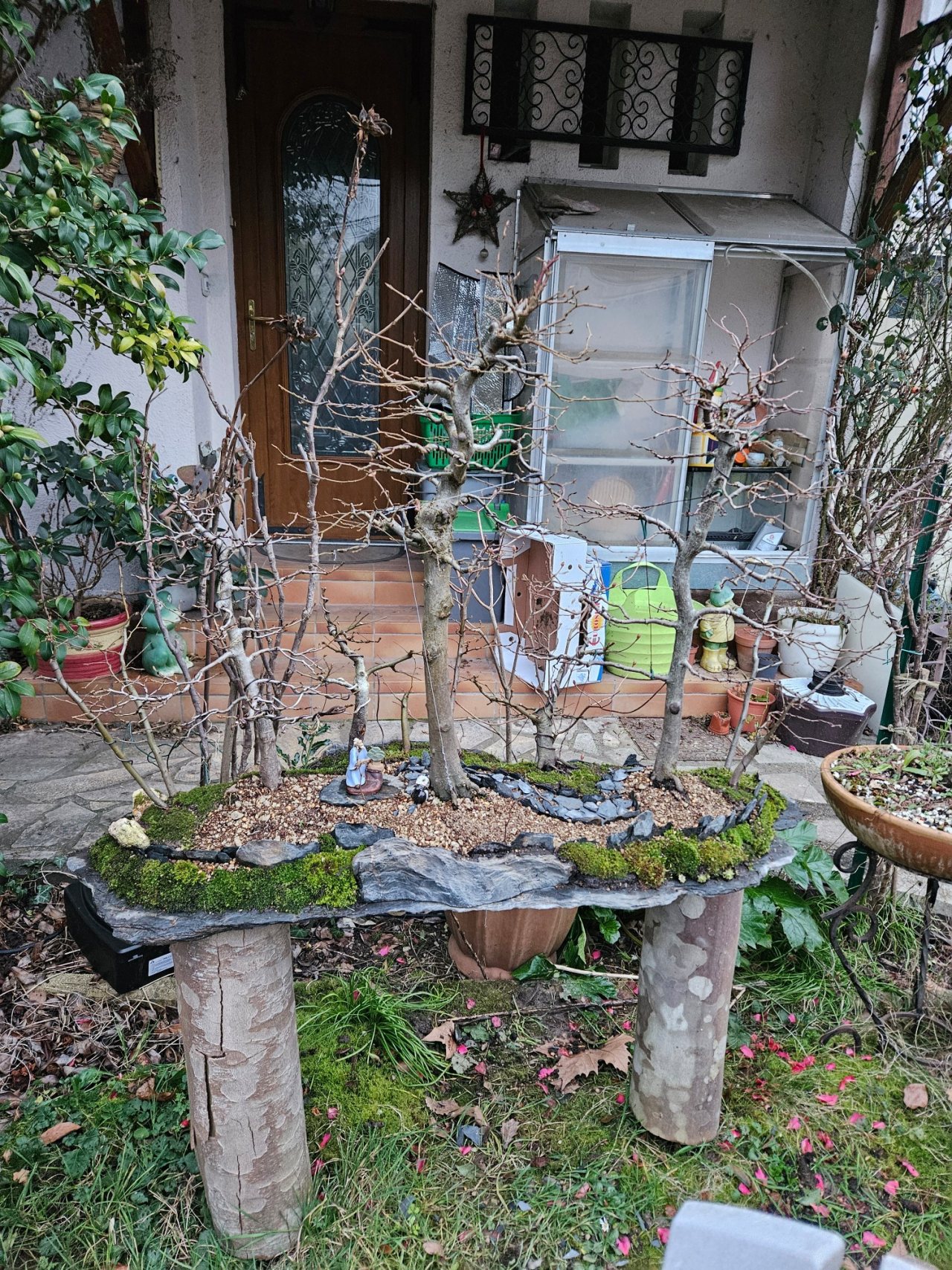 Photo 11