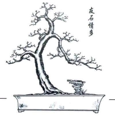 Waruku