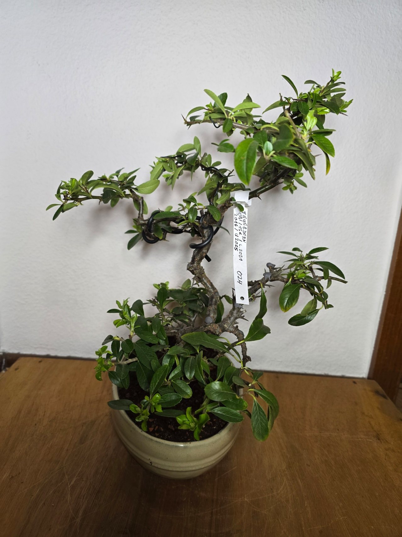 Photo 6