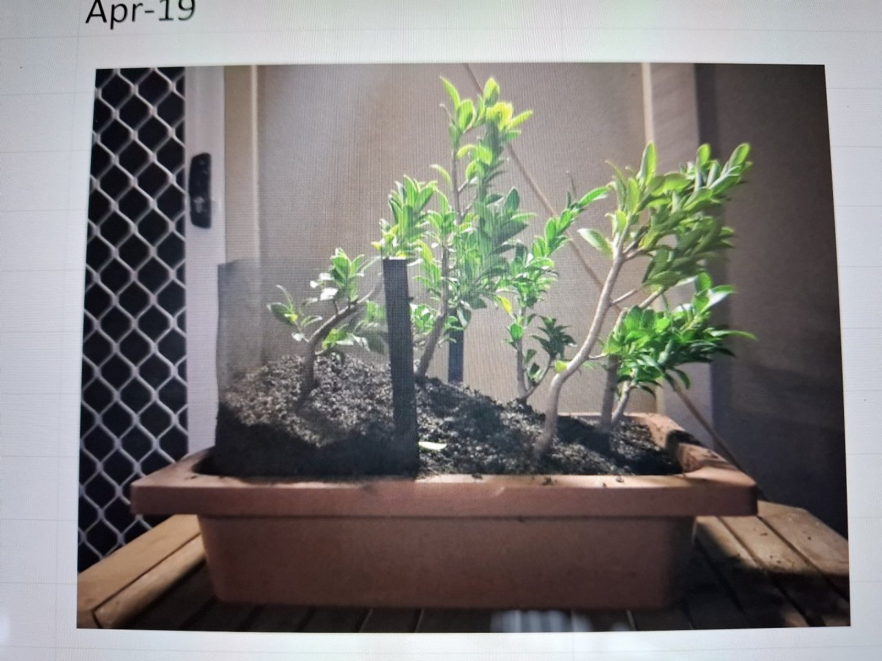 Photo 6