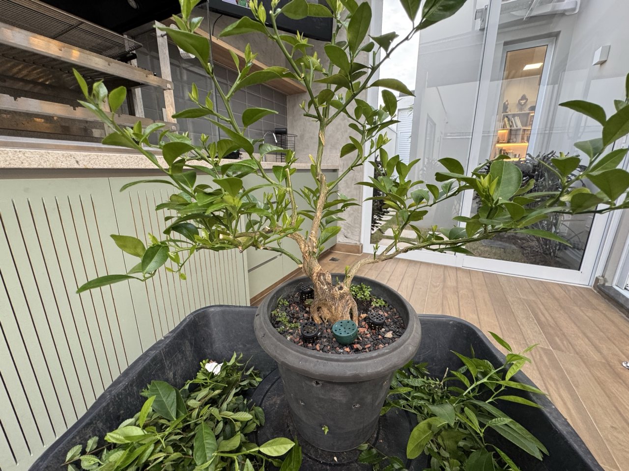 Photo 18