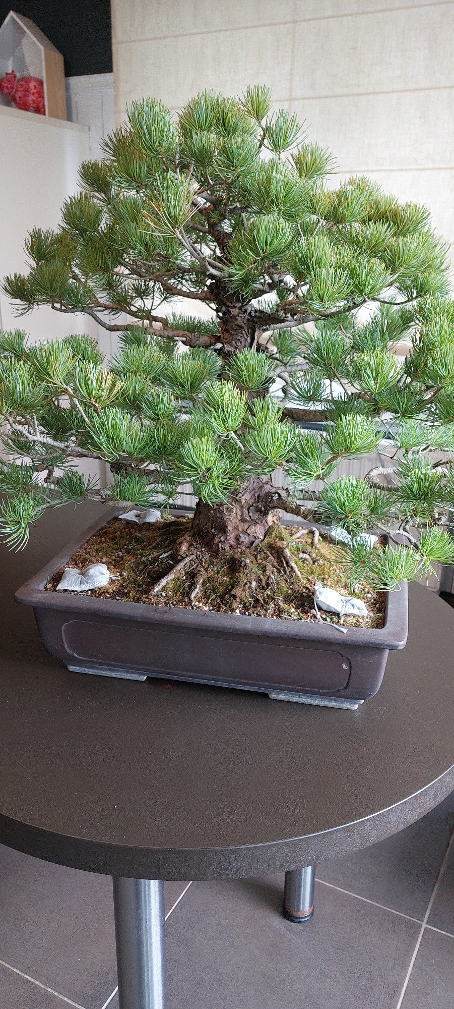 Photo 5