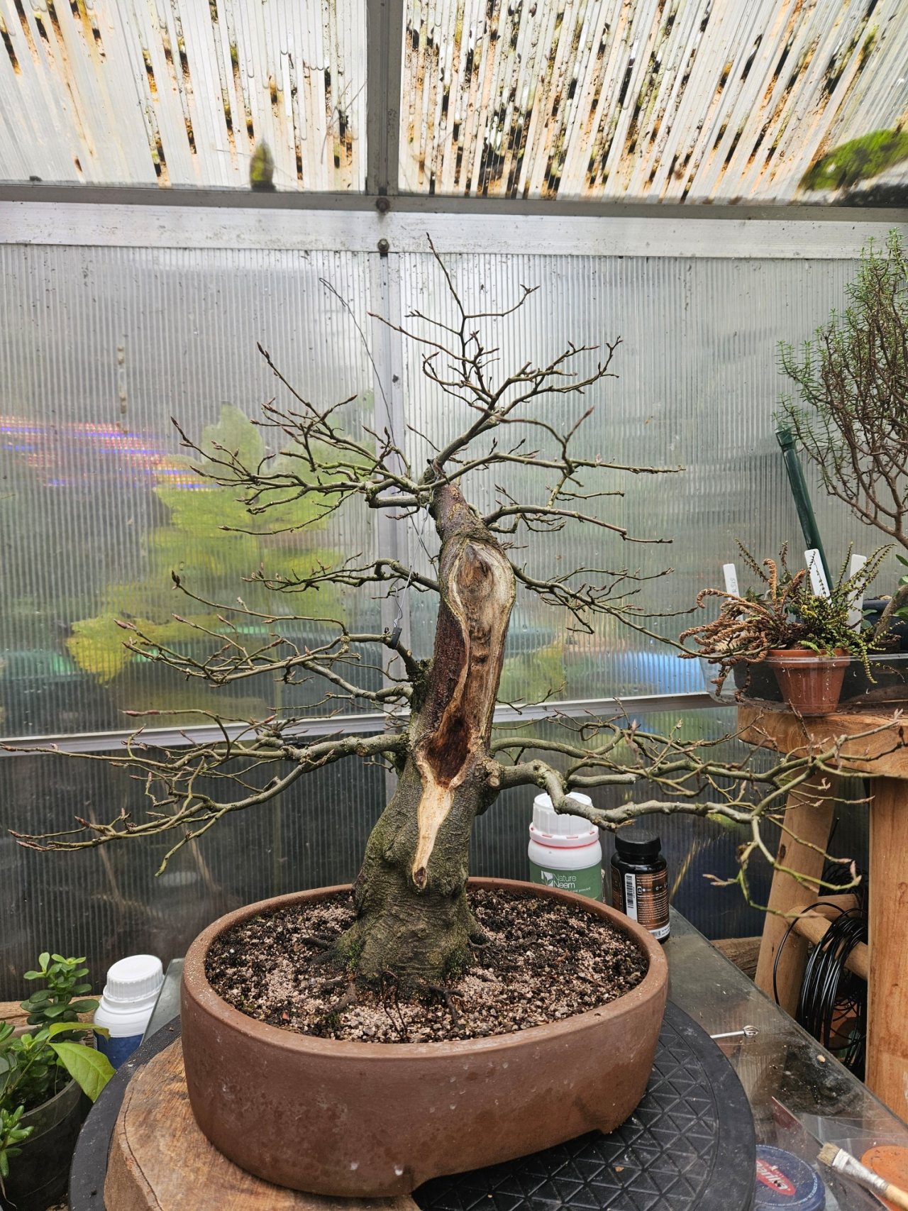 Photo 19