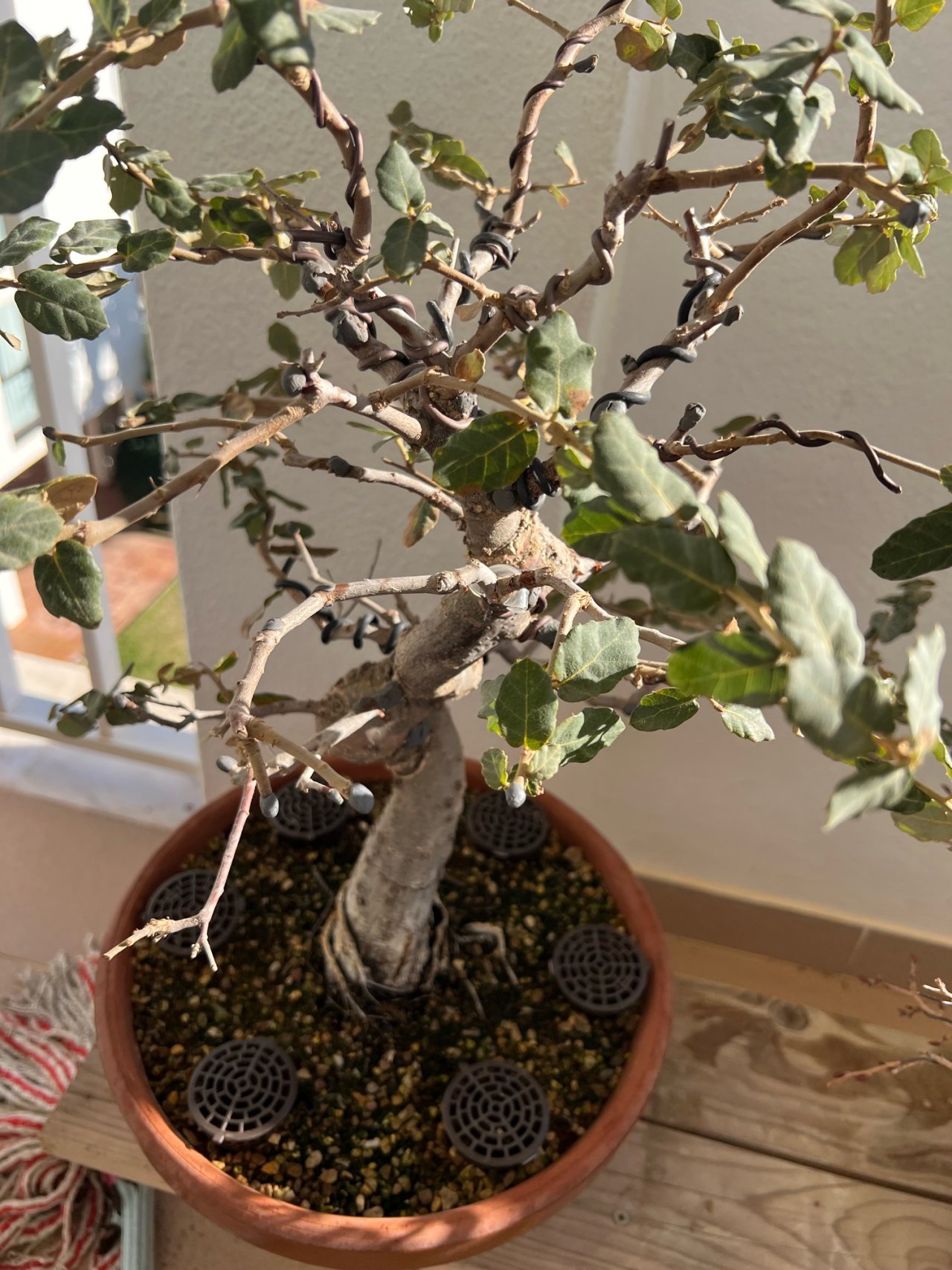Photo 14