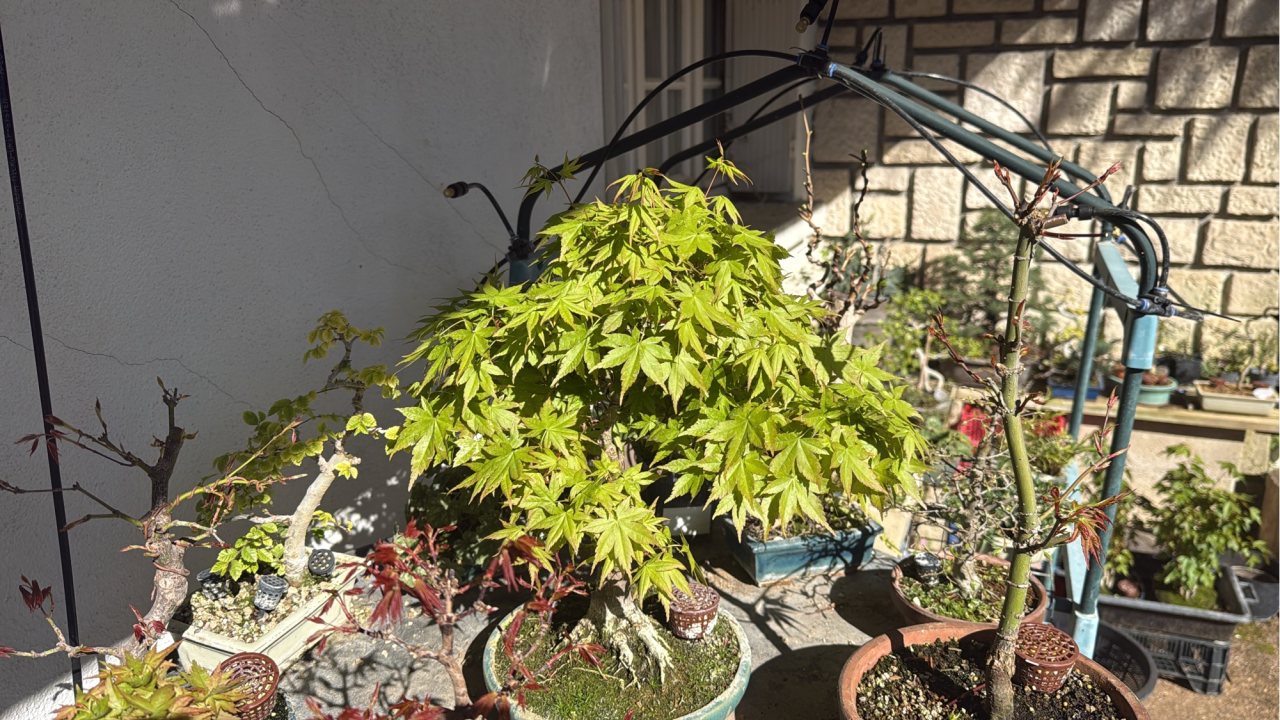 Photo 14